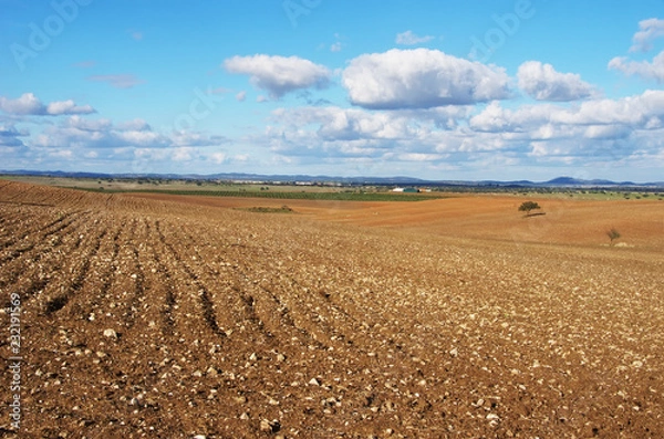 Fototapeta plowed field, Alentejo region, Portugal