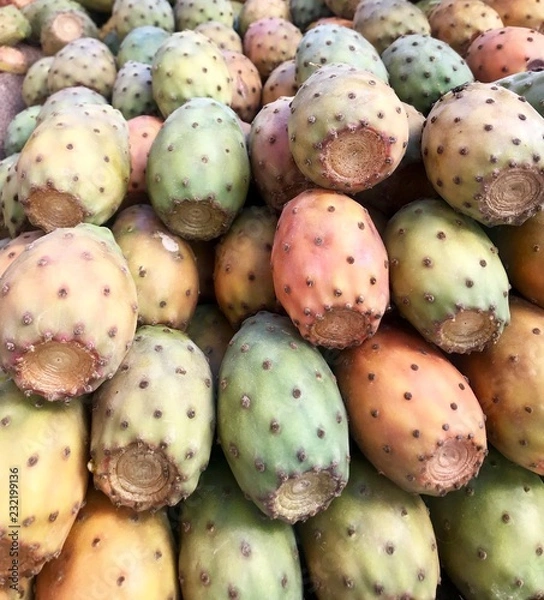 Obraz opuncja figowa