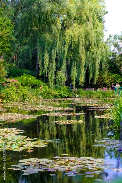 Obraz Sea rose lake in Giverny Garden of Monet