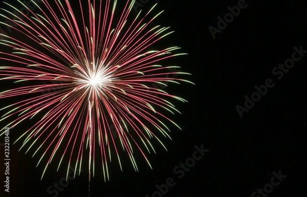 Fototapeta Single large starburst firework with white center transitioning to red then to green in the black sky on the Fourth of July