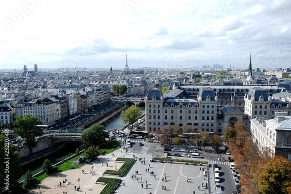 Obraz View towards Eiffel Tower from Notre Dame