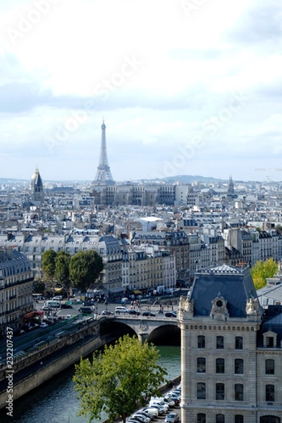 Fototapeta The Eiffel Tower seen from Notre Dame