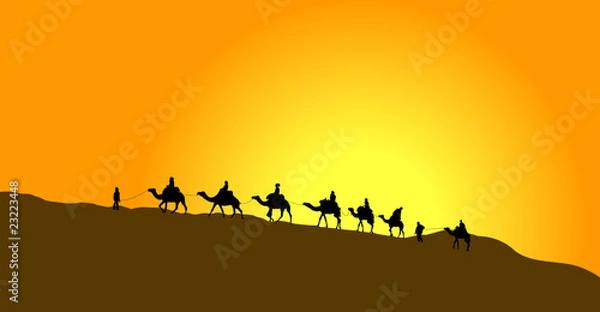 Obraz chameau nomade