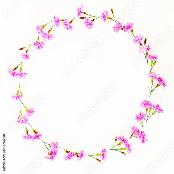 Fototapeta Round frame with pink flowers on white background. Flat lay, Top view. Flowers concept.