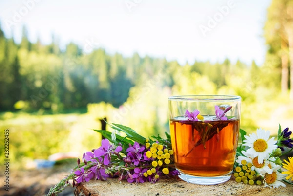 Obraz Herbal tea, against a fire and wildlife of forest edible flowers. The concept of ecological approach, the interaction of nature and man.