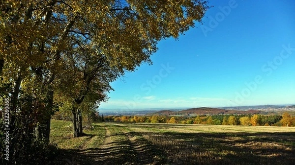 Obraz Droga przez przedni Spessart