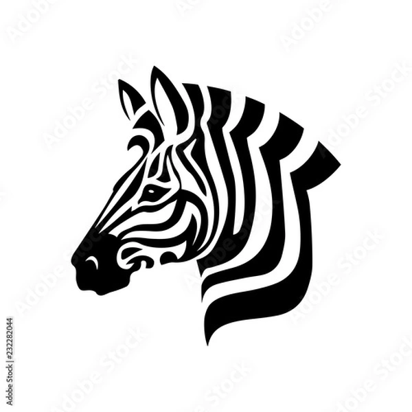 Obraz Zebra Head