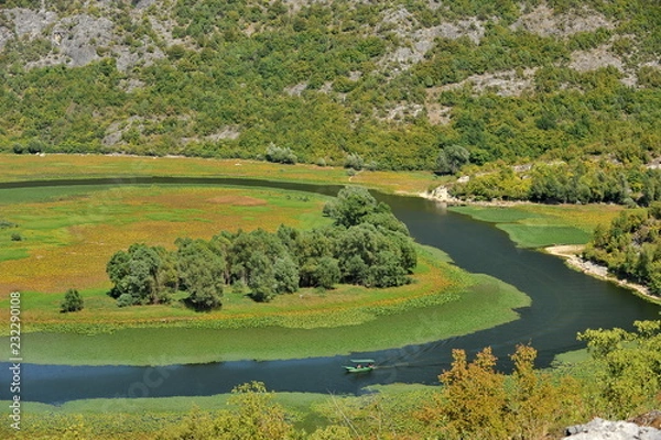 Obraz Skadar Lake in Montenegro.