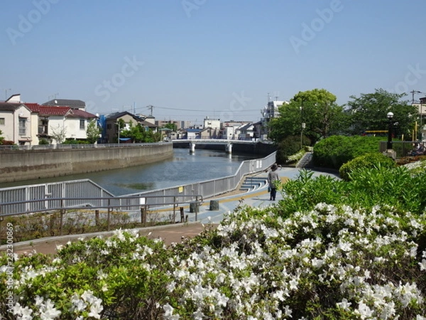 Obraz 川沿いを散歩する帽子をかぶった女性