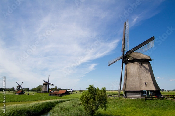 Obraz Mulini a vento olandesi