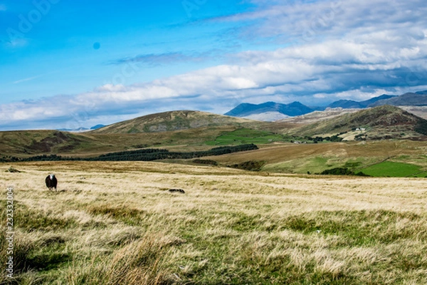 Fototapeta Lake District Landscape