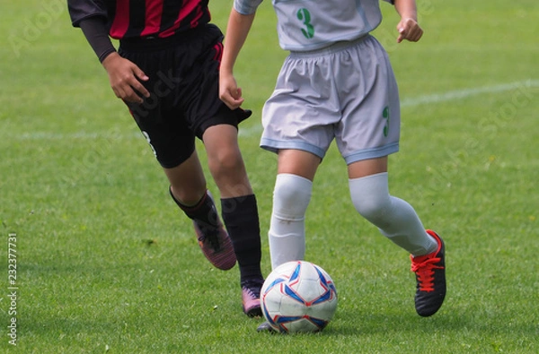 Fototapeta サッカー　フットボール