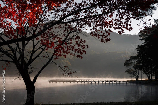 Obraz 木崎湖キャンプ場　紅葉