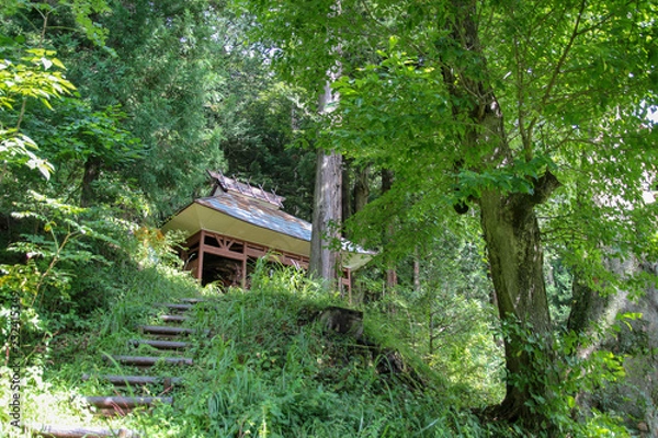 Fototapeta 山林と神社