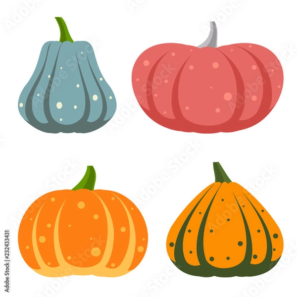 Fototapeta Pumpkin simple flat color icons vector set