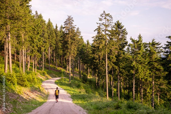 Obraz Hiking in the beautiful Thuringian Forest Nature Park, Germany 
