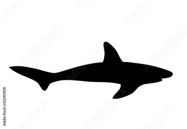 Fototapeta Shark black silhouette on white, vector eps 10