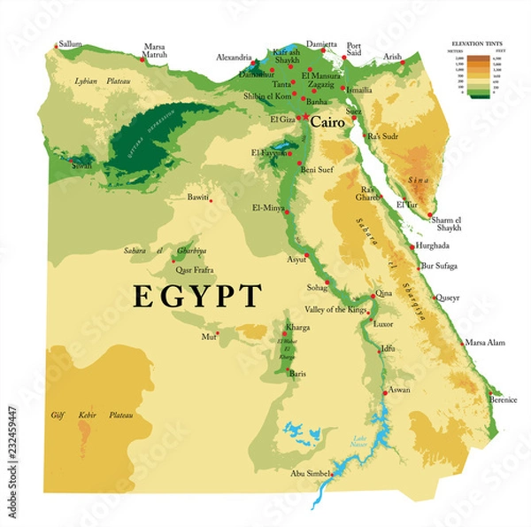 Obraz Egypt physical map