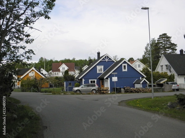 Fototapeta OLYMPUS DIGITAL CAMERA