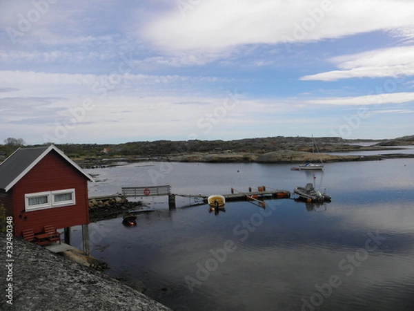 Fototapeta OLYMPUS DIGITAL CAMERA