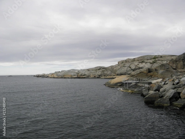 Fototapeta OLYMPUS DIGITAL CAMERA