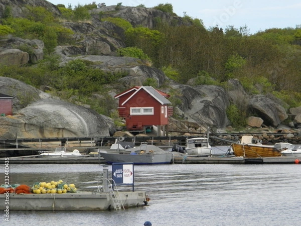 Fototapeta OLYMPUS DIGITAL CAMERA