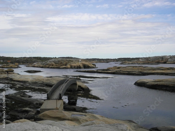 Fototapeta OLYMPUS DIGITAL CAMERA