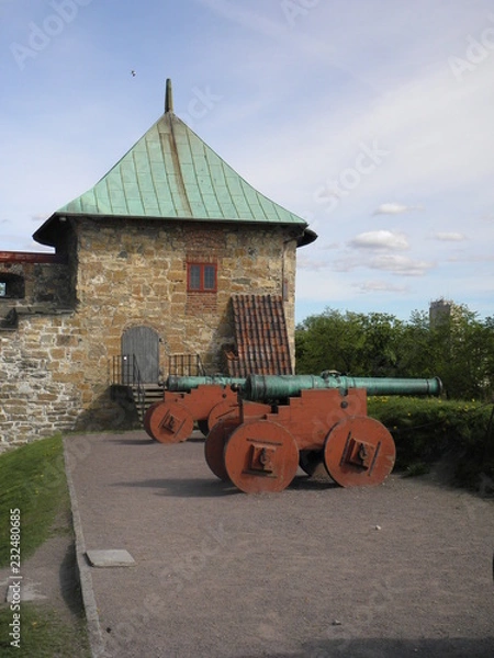 Fototapeta OLYMPUS DIGITAL CAMERA