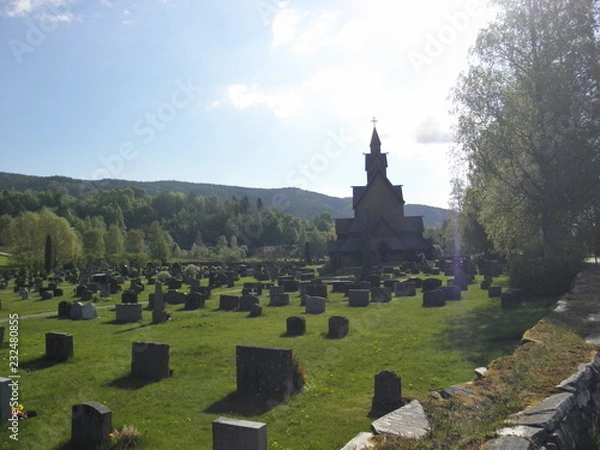 Fototapeta OLYMPUS DIGITAL CAMERA