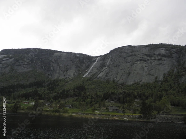 Fototapeta OLYMPUS DIGITAL CAMERA