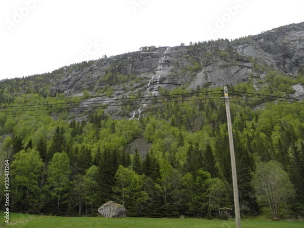 Fototapeta OLYMPUS DIGITAL CAMERA