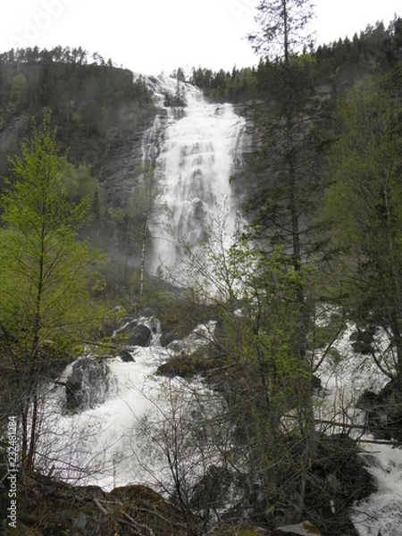 Fototapeta OLYMPUS DIGITAL CAMERA