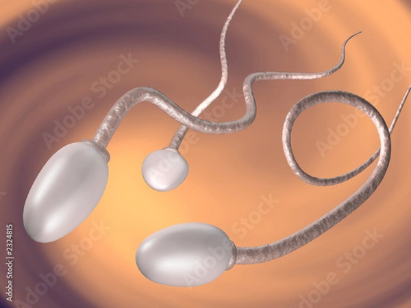 Fototapeta sperm
