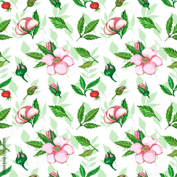 Obraz Rosehip seamless pattern. The pattern of stitches, berries and rosehip leaves. Rosehip watercolor pattern on a white background