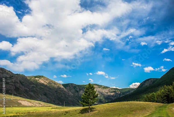 Obraz Mountain road trip