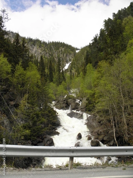 Fototapeta OLYMPUS DIGITAL CAMERA