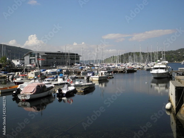 Fototapeta OLYMPUS DIGITAL CAMERA