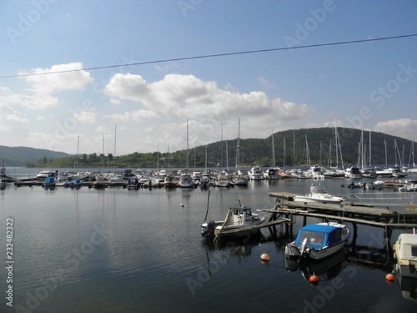 Fototapeta OLYMPUS DIGITAL CAMERA