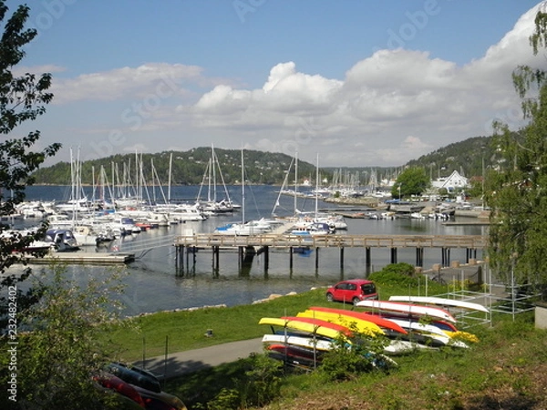 Fototapeta OLYMPUS DIGITAL CAMERA