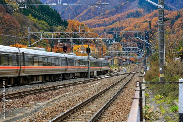 Obraz The train is moving in the Japanese province of Nagano in the season of autumn travel.