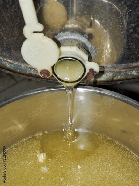 Fototapeta colare miele