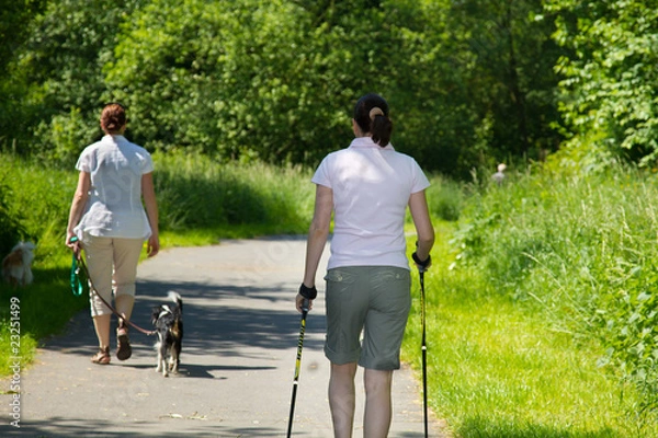 Fototapeta nordic Walking