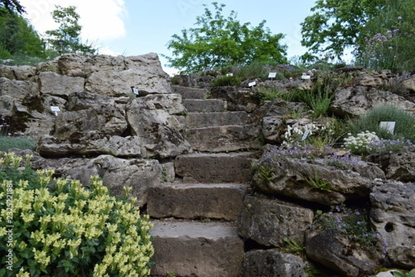 Fototapeta Steintreppe