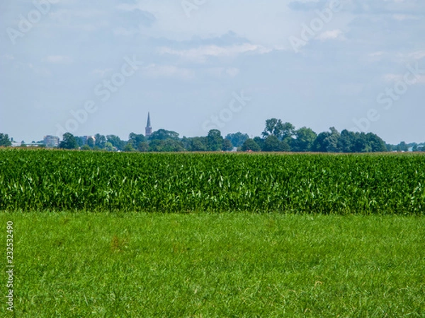 Obraz Steenwijkerland