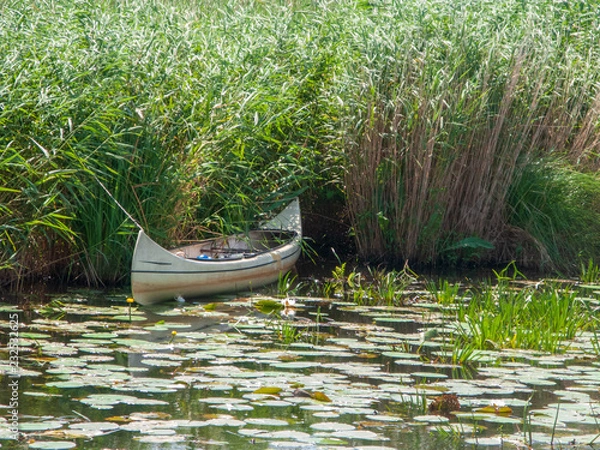 Obraz Steenwijkerland