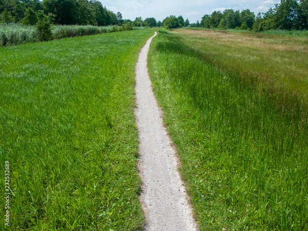 Obraz Steenwijkerland