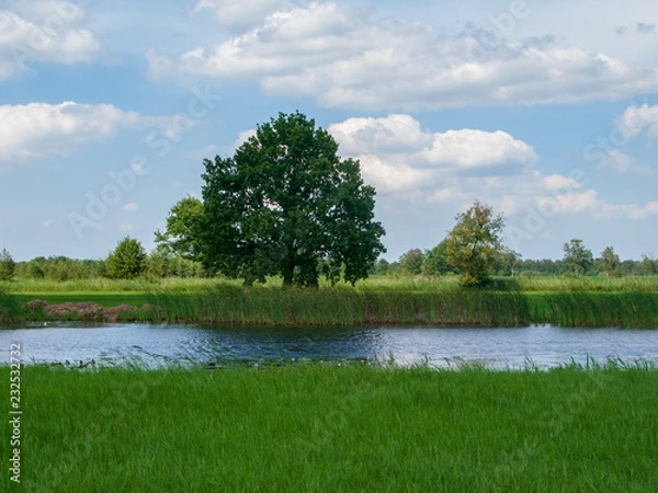 Obraz Steenwijkerland