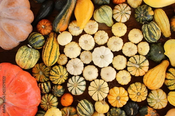 Fototapeta pumpkins and gourds