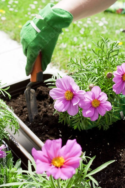 Fototapeta Blumenkasten