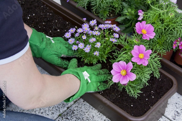 Fototapeta Gartenarbeit